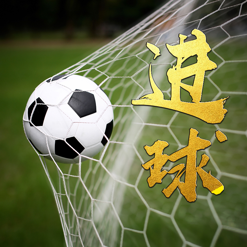 下半场大球软件每天胜率统计