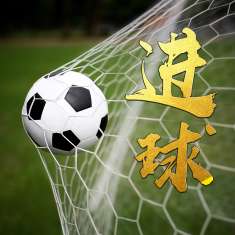 下半场大球软件每天胜率统计